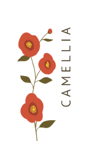 Flower Camellia