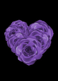 薔薇 紫×黄緑