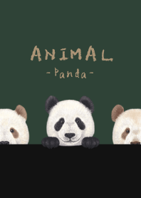 ANIMAL - Panda - CHRISTMAS GREEN