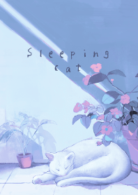 Sleeping white cat - night