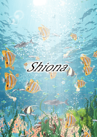 Shiona Coral & tropical fish