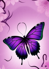 Dreamy Purple Flowers Butterflies ccBAo