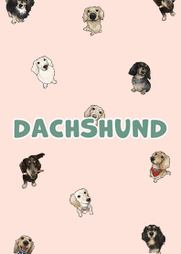 dachshund6 / peach pink