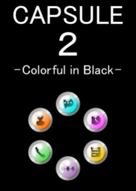 CAPSULE 2 - Colorful in Black -