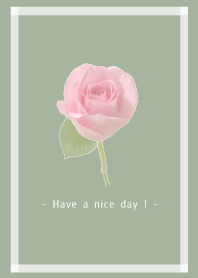 Pink Rose Theme -2-