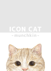 ICON CAT - マンチカン - GRAY/03