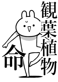 Like Themiie[KANYOU-SYOKUBUTU]