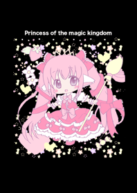 Princess of the magic kingdom