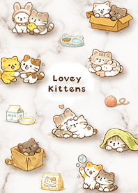 仲よく遊ぶニャン