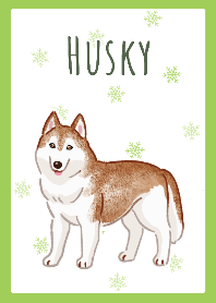 Huskey(Red)