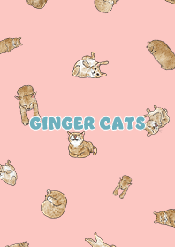 gingercats3 / light coral