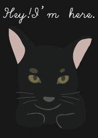 黒猫 ： 彼の名前は10ドル2023 LET'S DRAW