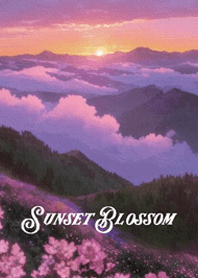 Sunset Blossom