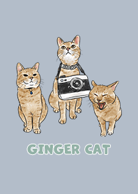 gingercat2 / slate blue