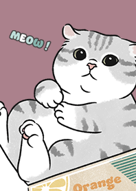 neko single15 / dark rose