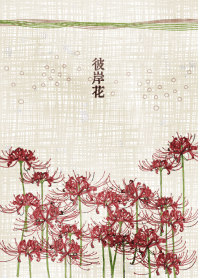 -彼岸花-