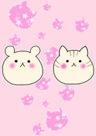 cat and bear