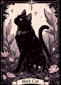 唯美塔羅牌黑貓 2