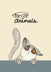 ひょっこりアニマルズ【ショウガラゴ】