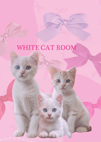 white cat room