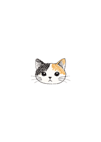 Hand-Drawn Calico Cat Faces12