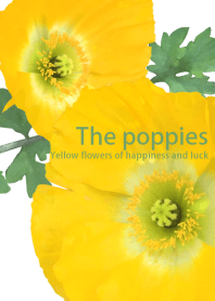 The poppies ~fortune yellow flowers~
