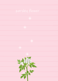 January's birth flower,parsley flower