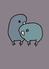 Barred parakeet theme