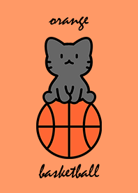 black cat sitting on a basketball OR