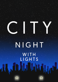 CITY THEME AT NIGHT WITH LIGHTS