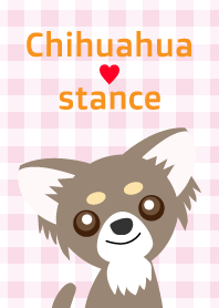 Chihuahua stance