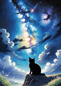 Night Moon Star Cat 4f2DA8