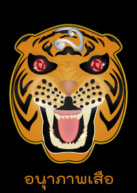Powerful of Tiger amulet (Orange)
