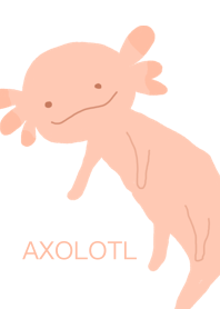 Cute Axolotl