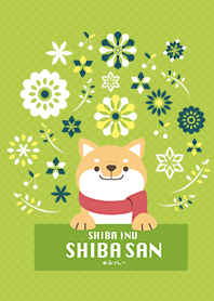 SHIBAINU SHIBASAN -green&yellow-