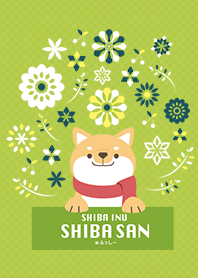 SHIBAINU SHIBA SAN -グリーン＆イエロー-