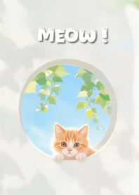 Meow Meow Cute Theme 31