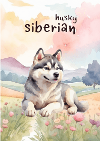 siberian husky In Flower Theme