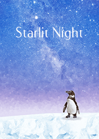 星夜 .