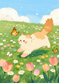 แมวอ้วนกลม น่ารัก_75