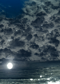 Mysterious moonlit night[2/30].