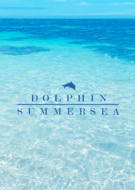 SUMMER SEA - HAWAII BLUE DOLPHIN 10