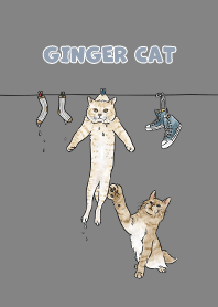gingercat3 / dim grey