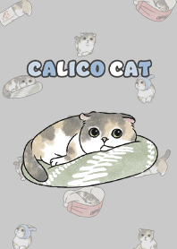 calicocat2 / grey