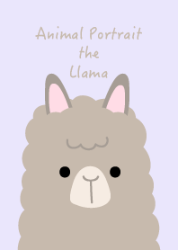 Animal Portrait - Llama