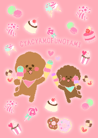 Toy poodle cyacyamofunotami