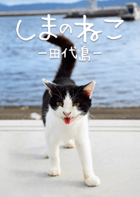 しまのねこ -田代島-