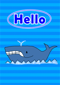 HELLO クジラ