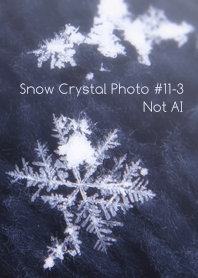 Snow Crystal Photo #11-3Not AI