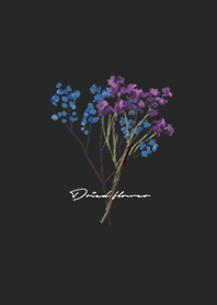 ブラック : Dried Flower